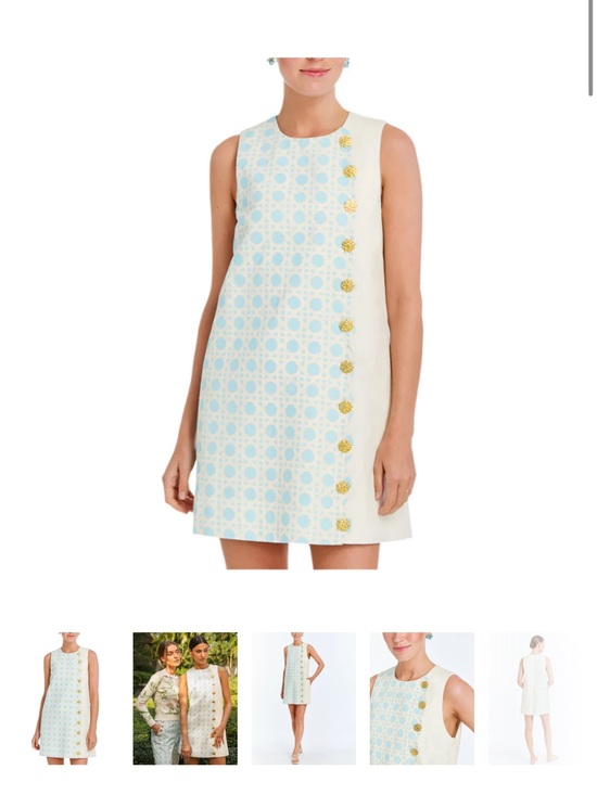 Mestiza New York Dresses & Skirts - Sleeveless Light Blue & Cream Mini Dress with Gold Accent Buttons